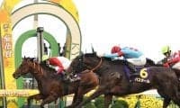 武豊騎手 最年長G1勝利&菊最多6勝目
