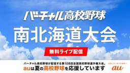 夏の高校野球 南北海道大会
2回戦 駒大苫小牧 - 苫小牧高専ほか