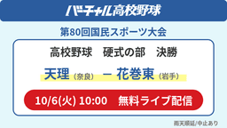 国民スポーツ大会 硬式の部 決勝
天理 - 花巻東