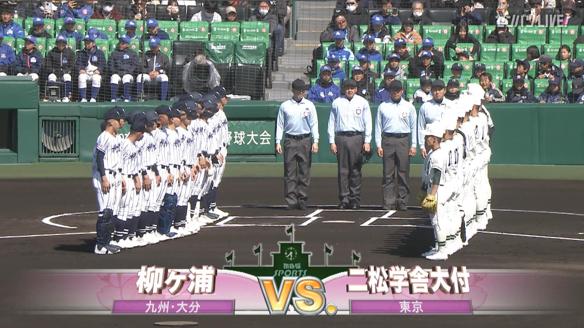 見逃し動画