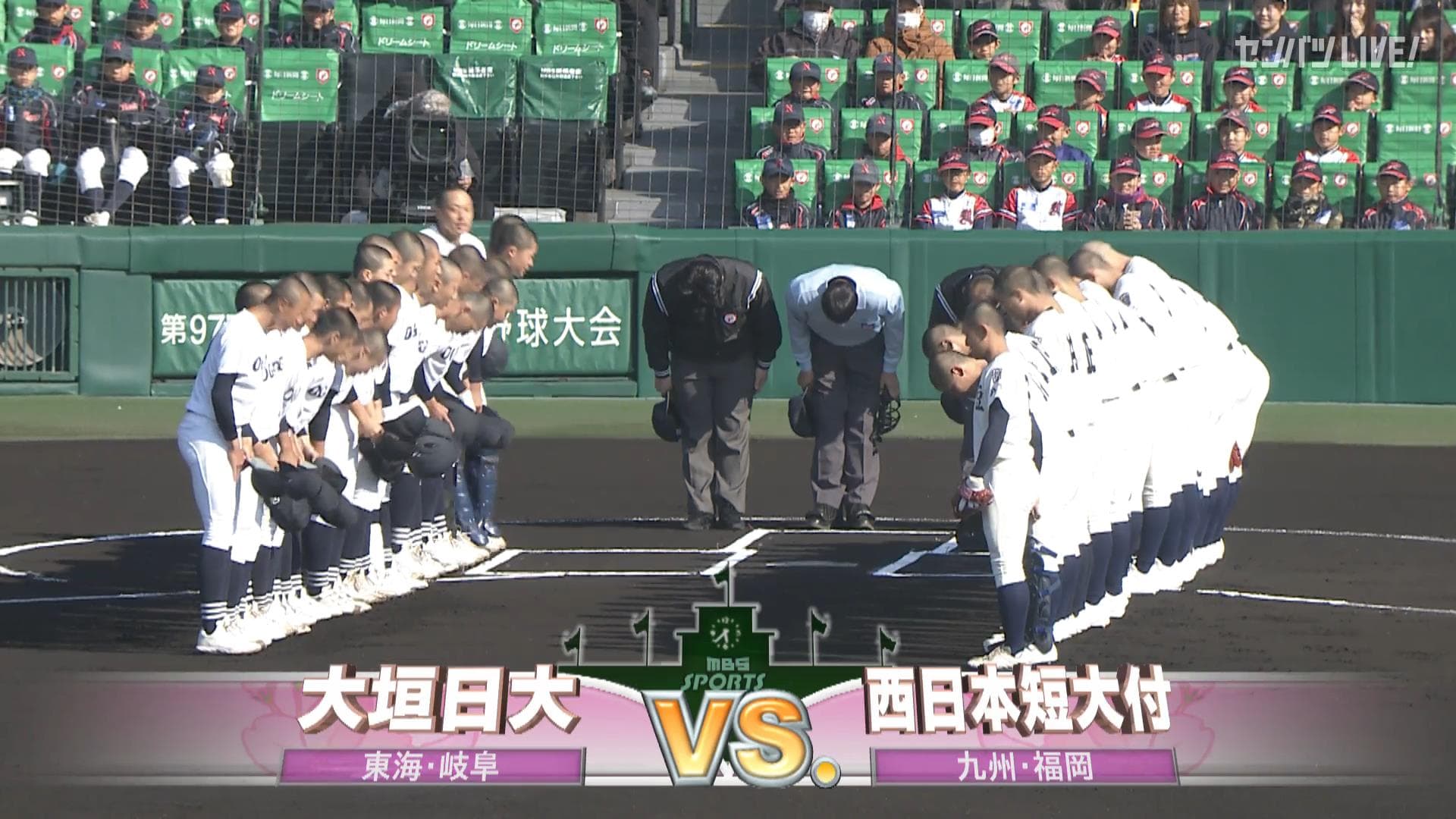 見逃し動画