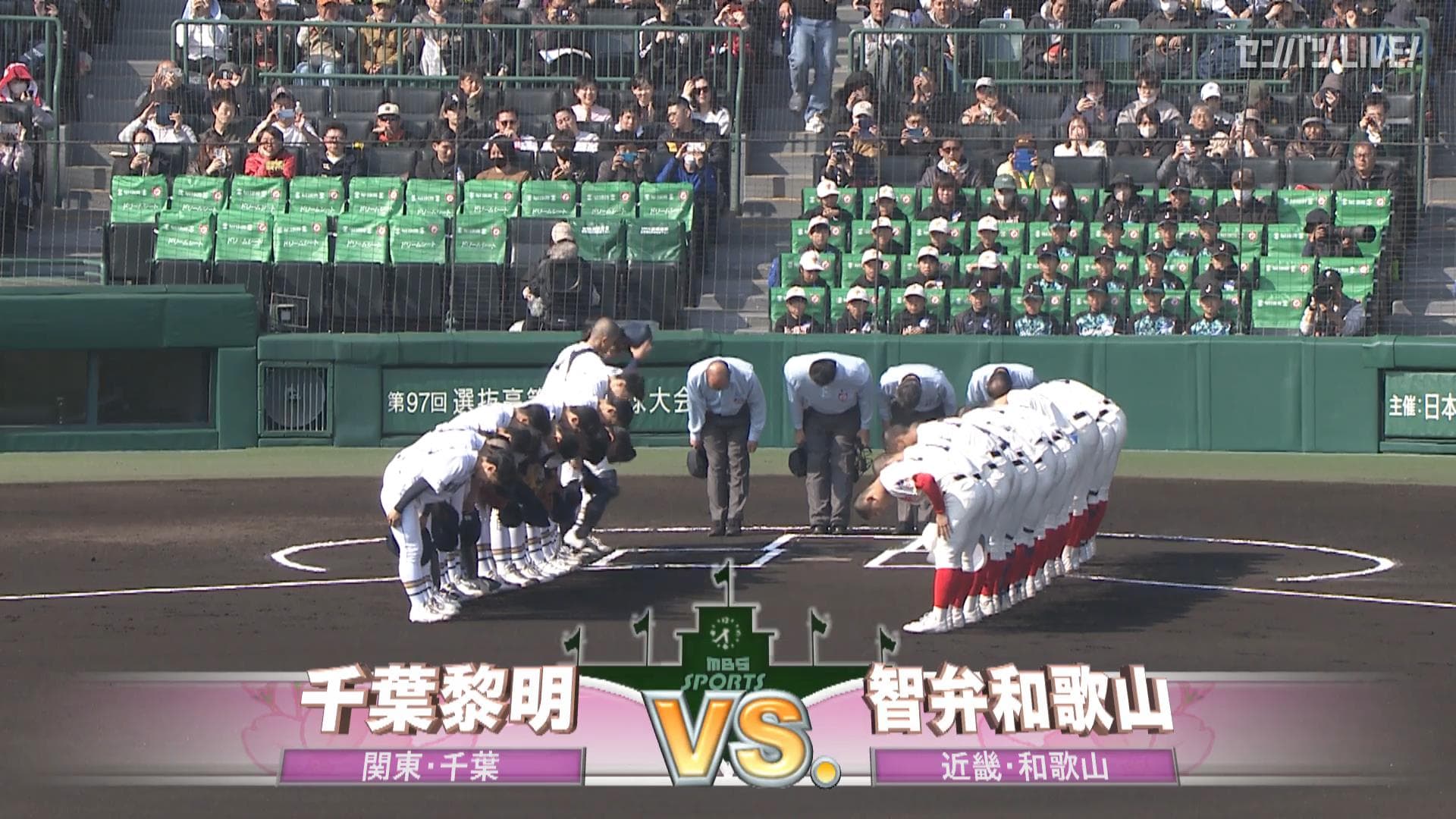 見逃し動画