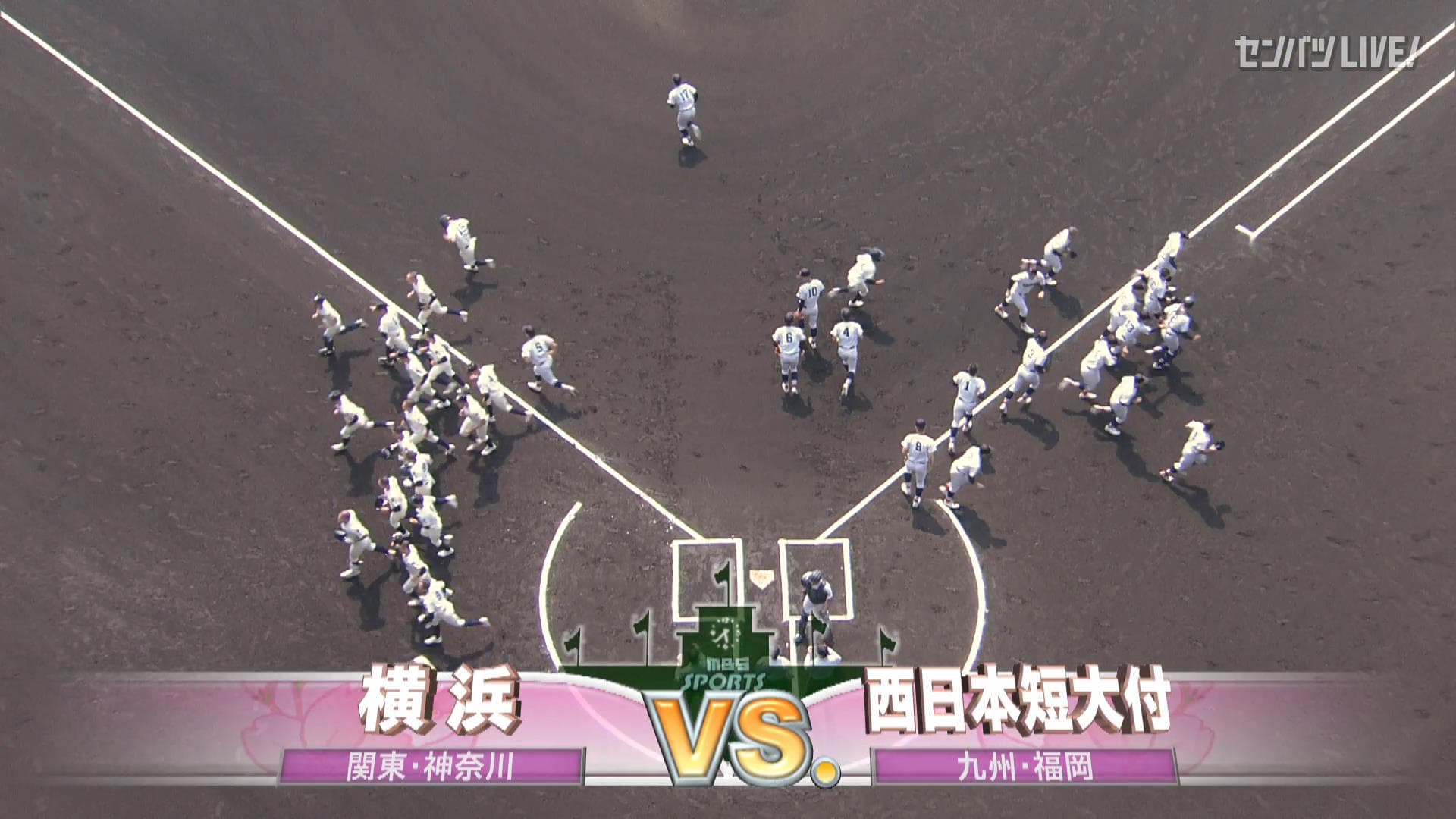 見逃し動画