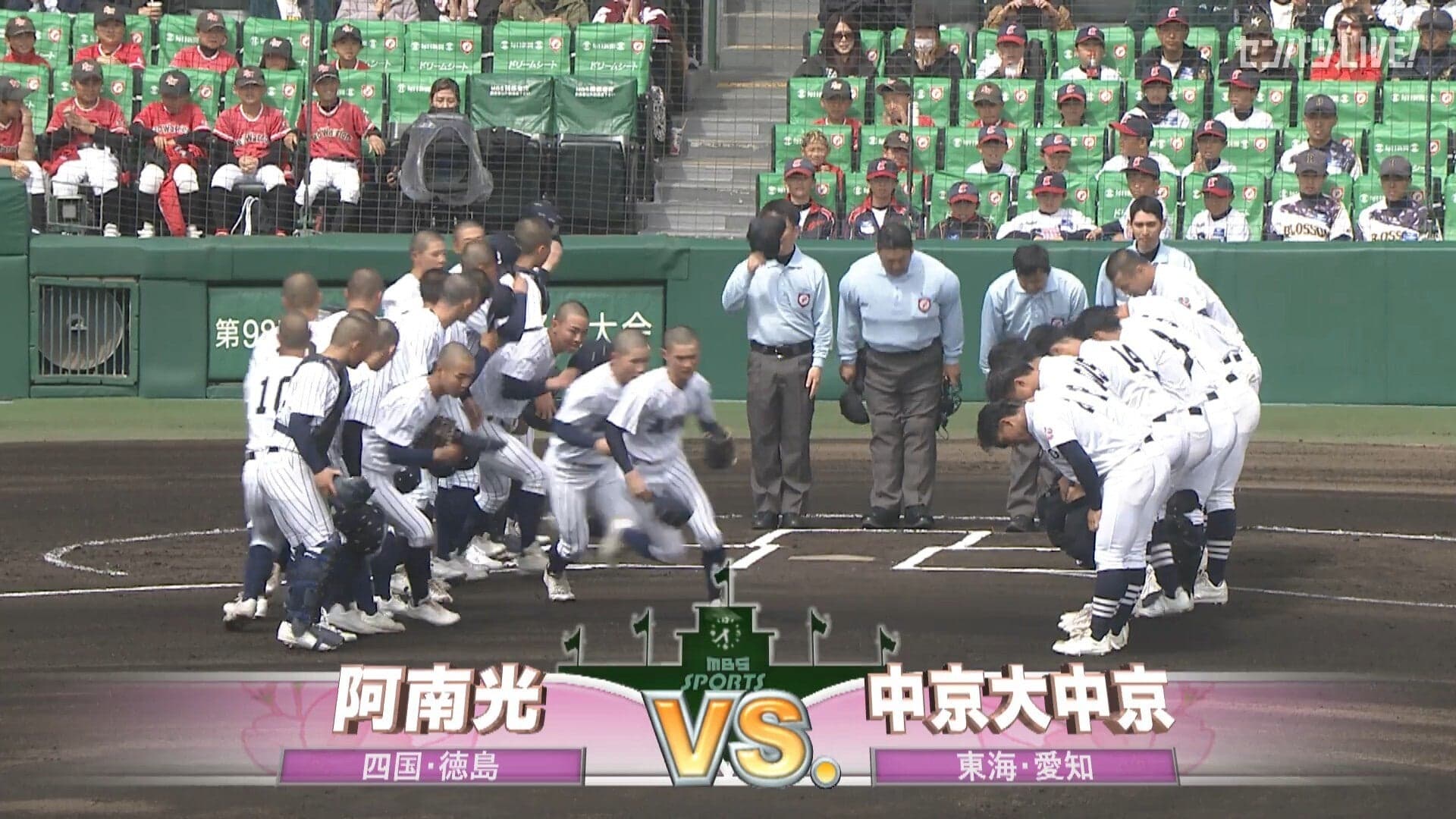 見逃し動画