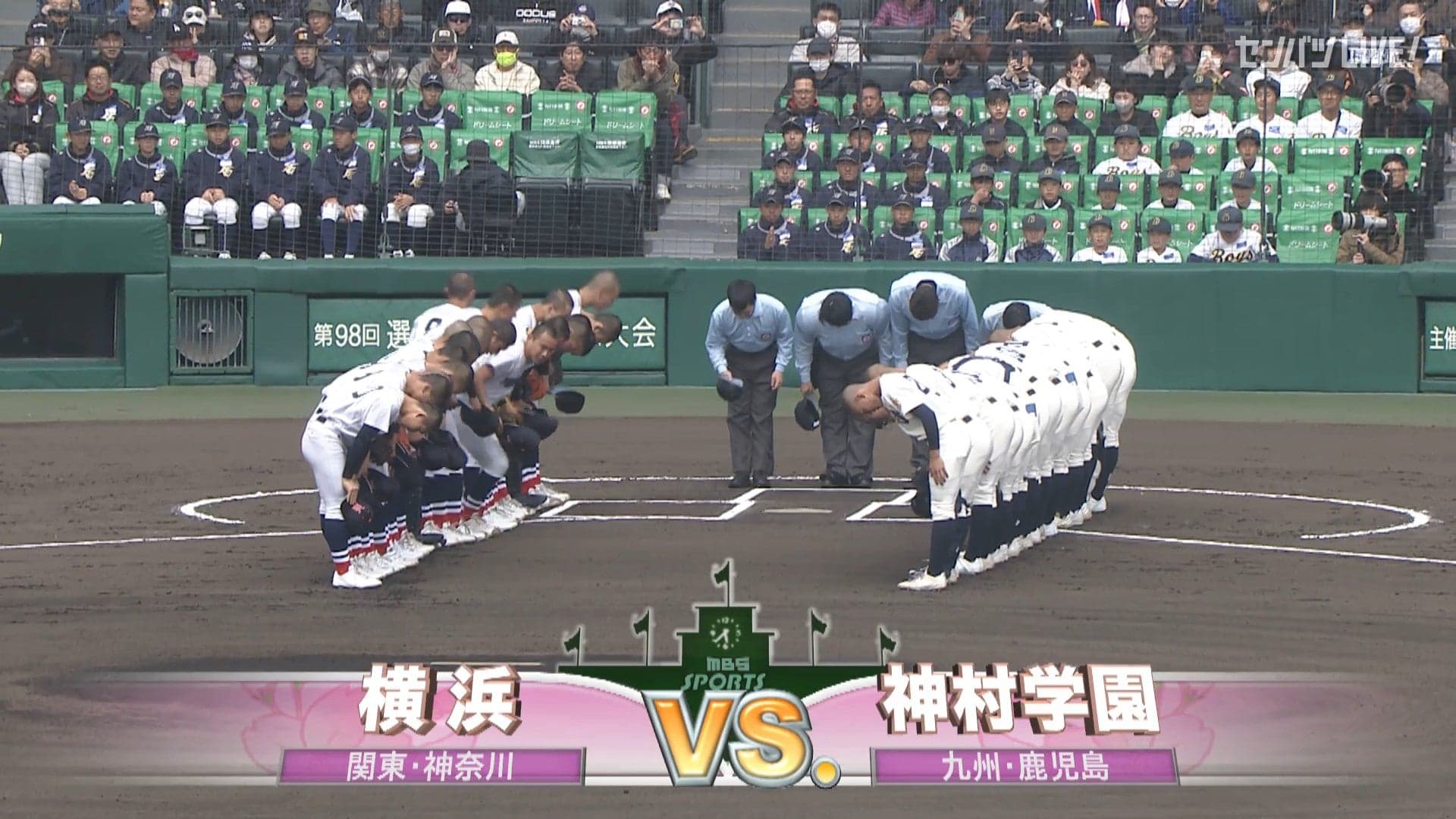 見逃し動画