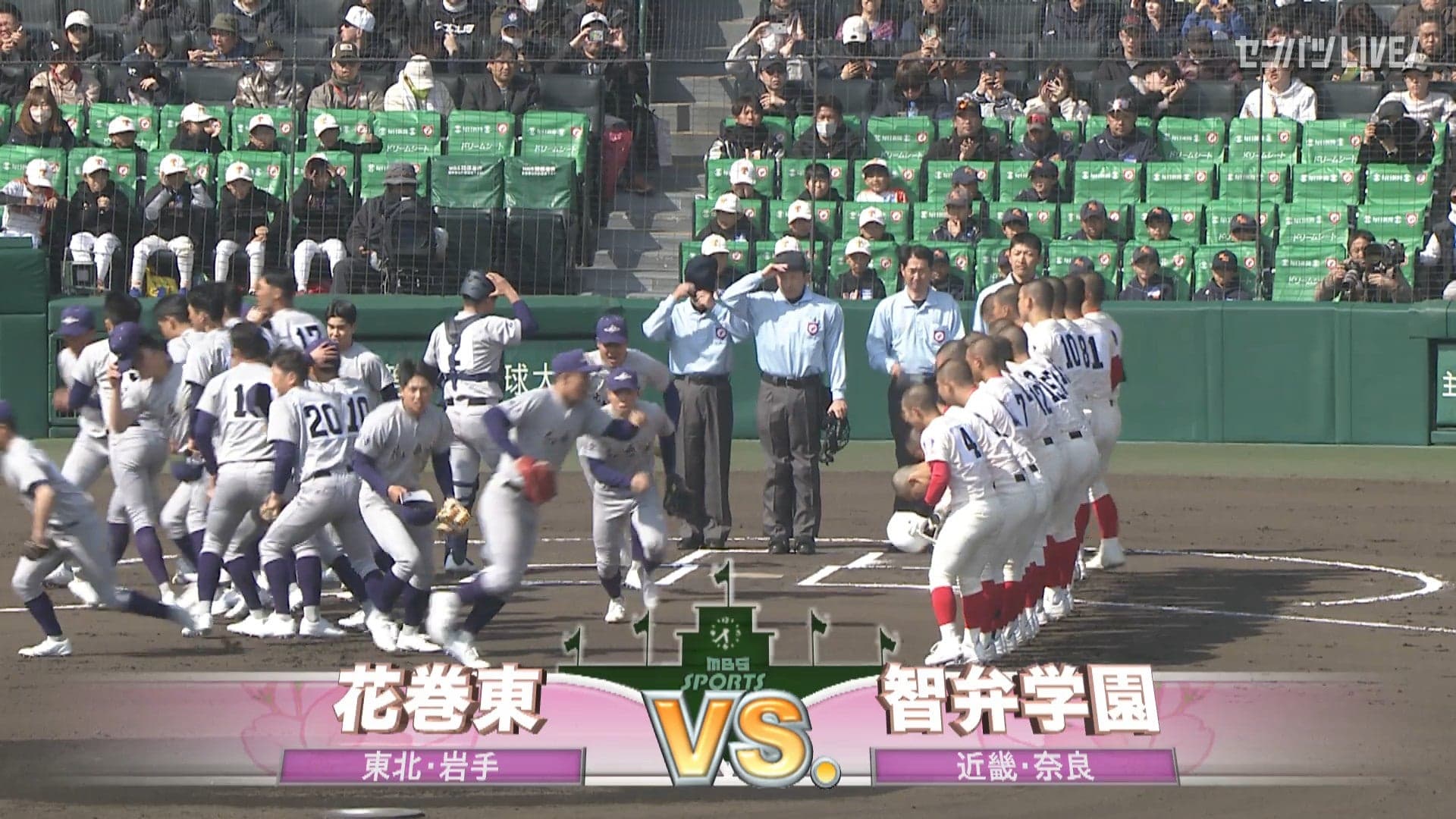 見逃し動画