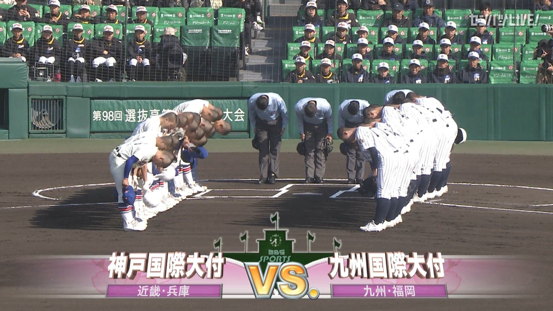見逃し動画