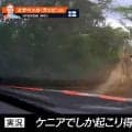 世界最速のラリー車に「キリンもびっくり」 レース実況の名手が選ぶ衝撃光景「競技よりも命」ドライバーの“粋な対応”も脚光