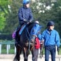 【陸上】女子やり投げ北口榛花、２月にコーチ変更、新たな指導体制で初陣を飾れるか／連載２