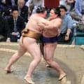 再入幕の竜電、６日目で初白星　我慢比べを制し「相手が根負けするぐらいの相撲をまだまだ取れる」
