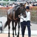 【注目馬動向】目黒記念で重賞初挑戦のウィクトルウェルス　鞍上は引き続きルメール騎手　シルク・ホースクラブが発表