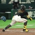 巨人・浦田「退場かなと思った」　「危険スイング」で警告　適用１号「当てようと思ったら飛んでいってしまった」