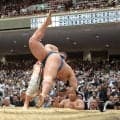 琴栄峰が初黒星「勝っても負けても、切り替え」…７日目は埼玉栄高の同期対決
