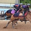【ヴィクトリアＭ・特選有力馬チェック】チェルヴィニアは買うべき？