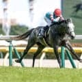 【新潟大賞典予想】直線勝負の名物ハンデ重賞 実績馬に試練の舞台