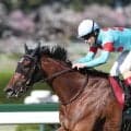 【競馬予想】ヴィクトリアマイル、二冠牝馬エンブロイダリーは本当に断然の存在か　「マイルは少し短い」