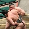 “史上最強の新弟子”旭富士が無傷４連勝で勝ち越し決める【大相撲夏場所】