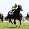 【新潟５Ｒ・３歳未勝利】マスカレードボールの半弟アナザーフェイスが初Ｖ　荻野極騎手「今日は馬の力」