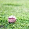 杜若と愛産大三河が決勝進出！愛知・全三河大会【26年春高校野球】
