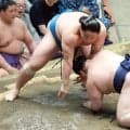 琴栄峰が若ノ勝との埼玉栄高同級生対決を制す　１敗を守る