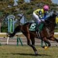 【新潟大賞典】約2年ぶり出走の武豊シュガークンは最下位