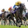 【ヴィクトリアM予想】春の女王決定戦は東京芝1600mの実績が重要!? コース実績や過去傾向から信用しきれない人気馬とは