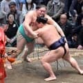 若隆景が６勝目　一山本に勝って１敗守る