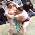 琴桜が元気なく５敗目　王鵬との祖父が横綱同士の一番に敗れる