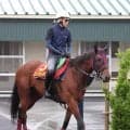 【ヴィクトリアＭ】ルメール騎手のエンブロイダリーが単勝２・０倍で堂々の１番人気　カムニャックが５・２倍で続く　前日最終オッズ