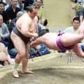 十両・尊富士が敗れ４勝３敗に　「立ち合いは良かった。だからこそもったいない」