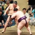 美ノ海が我慢の相撲で５勝目　阿炎の厳しい突き「もろにくらっています」が耐え抜いた