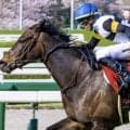 霜降り明星・粗品がヴィクトリアMを予想 ラヴァンダ軸の馬連・3連複で勝負