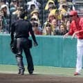 【珍事】阪神－広島戦で新井監督リクエストも対象プレー分からず場内ざわつく