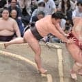 【元大関・琴風の目】まったく危なげない　抜きんでた安定感が霧島の現在地　無双状態の大関を止めるのは誰だ？