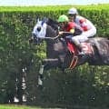 【京都ハイジャンプ】シホノスペランツァが重賞初制覇　「手応えが違った」高田潤騎手は連覇で最多タイ５勝