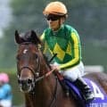 母系に活躍馬ズラリ マジックパレスがルメール騎手でデビュー勝ち狙う