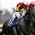 春の古馬マイル女王決定戦ヴィクトリアM 東京芝1600mの重賞実績馬に注目だ