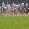 【ヴィクトリアマイル／馬場情報】Bコース替わりの東京はフラットな状態　超高速決着で浮上する前日“8人気”以下の爆穴3頭