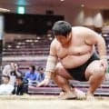 早大出身の川福が序ノ口４連勝で勝ち越し、早大相撲部出身は81年ぶりの角界入りで順調スタート
