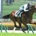 Ｇ１並みの時計に衝撃！１分３１秒台での圧勝劇に「異次元やろこれ」「ＮＨＫマイル出ても…」　東京７Ｒのトミーバローズ