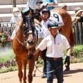 【京都６Ｒ】国枝栄元調教師が厩務員として遠征競馬初体験　馬運車は「すごい快適。ドアｔｏドアだから人間は楽だよ」