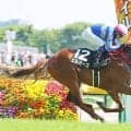 【テレ玉杯】「最高です！　夢でした」短期免許で来日中のゴンサルベス騎手が東京初勝利　エルマーゴを勝利導く