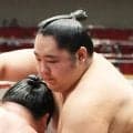 幕下・安響が無傷４連勝　大関・安青錦の助言を白星につなげる「部屋全員の取組を見てくれているのだと思う」