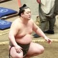 幕下嵐富士、十両土俵で初の大銀杏「緊張はなかった」も敗れて記念の白星はならず