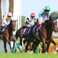 【ヴィクトリアＭ】ルメール騎手「Ｇ１ホースでしたね」　２５年２冠牝馬エンブロイダリーが完勝でＧ１・３勝目　