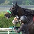 【ヴィクトリアＭ】武豊騎手のエリカエクスプレスは写真判定で４着　０９年ウオッカ以来の２勝目ならず