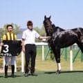 【京都９Ｒ・白川特別】２６年ぶりコースレコード！　吉村誠之助騎手騎乗のベイラムが０秒４更新する２分２２秒２でＶ