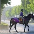 【ヴィクトリアＭ】エフフォーリアの全妹ジョスランは８着　Ｇ１・２度目の挑戦で結果残せず