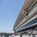 【京都12R】ビップジーニーが接戦制し3勝目…タガノアンファンは4角で落馬競走中止