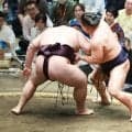 若隆景が７勝目　王鵬に勝ち、１敗守る